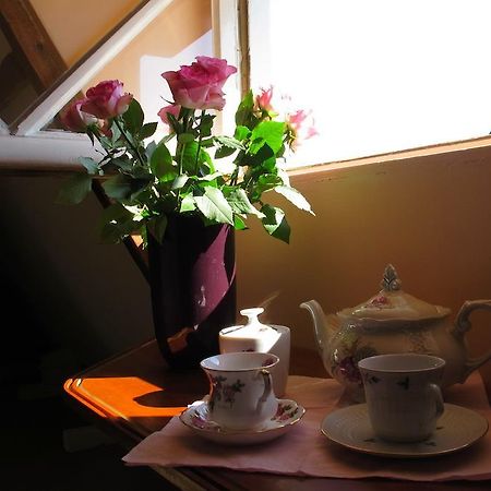 Wild Roses Bed and Breakfast Amsterdam Rum bild