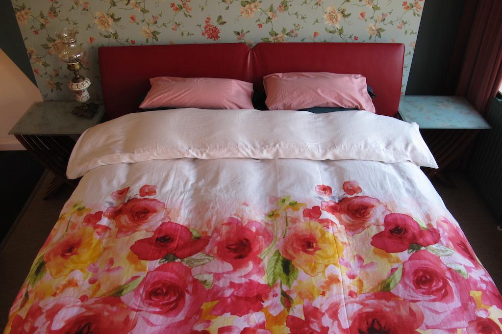 Wild Roses Bed and Breakfast Amsterdam Rum bild