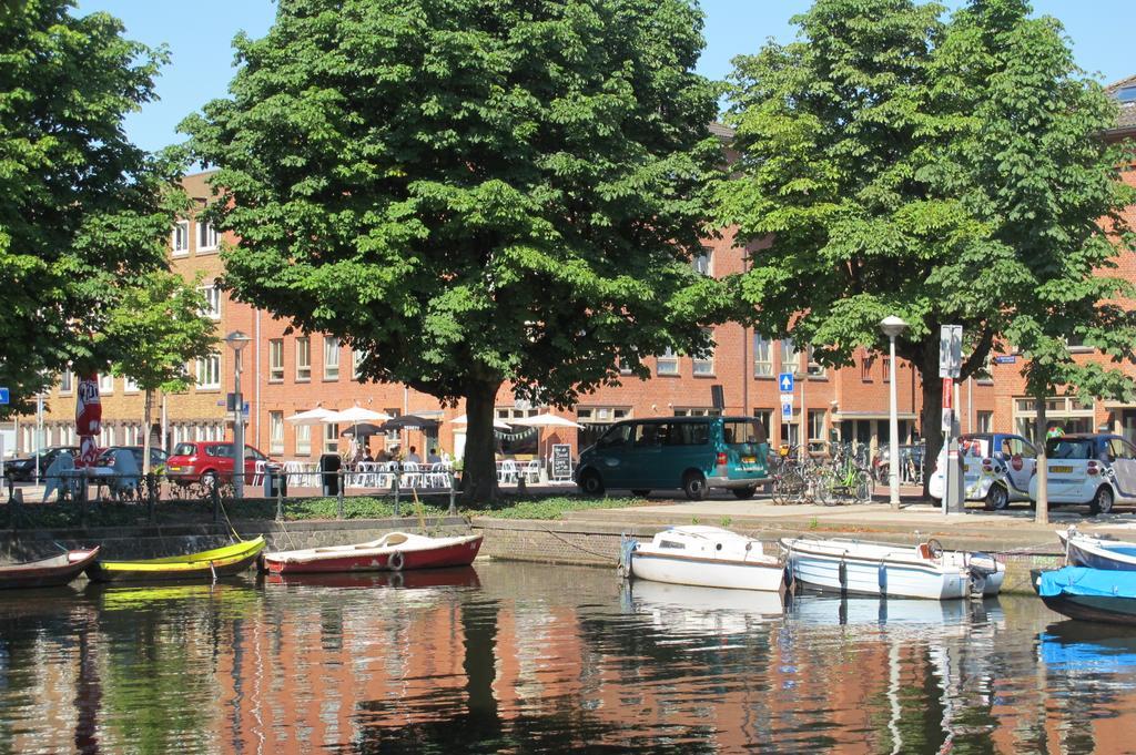 Wild Roses Bed and Breakfast Amsterdam Exteriör bild