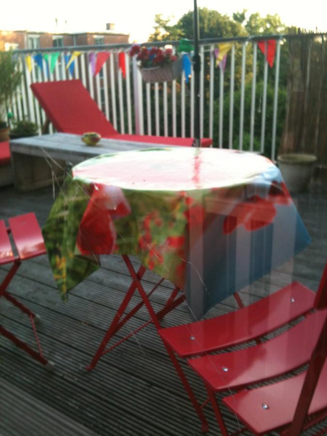 Wild Roses Bed and Breakfast Amsterdam Rum bild